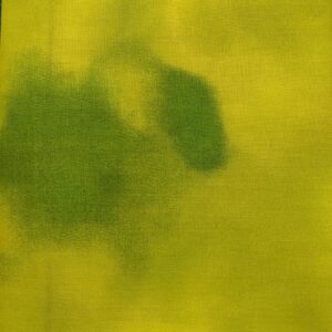 QT fabrics Sophia 1649-26078-H