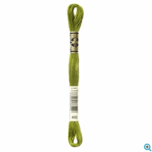 DMC Floss Avocado Green