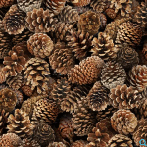Elizabeth's Studio Brown Packed Pine Cones