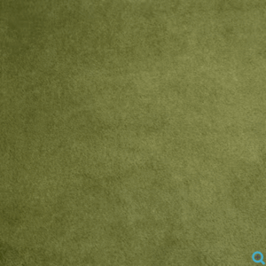 Shannon Fabrics Cactus Solid Cuddle Solid 90"