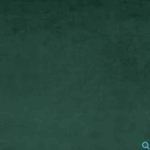 Shannon Fabrics Evergreen Solid Cuddle Solid 90"