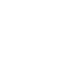 Oasis White Cotton Sateen 118"