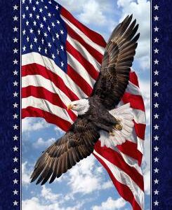 Land of The Free Patriotic Panel 24in