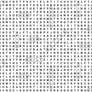 Timeless Treasures Crossword White