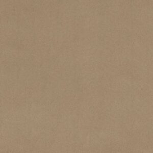 Shannon Fabrics Taupe Solid Cuddle Solid 90"