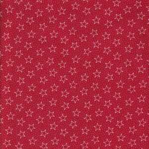 MSQ Red/White Dots & Stars 108"