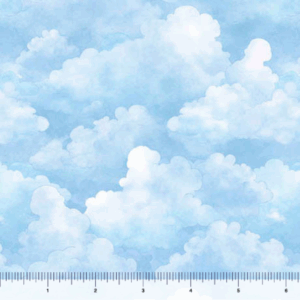 Bearsville Clouds Sky Blue