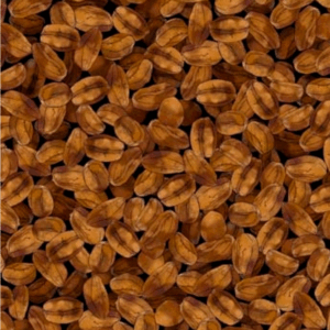 QT fabrics Perfect Blend Coffee Beans