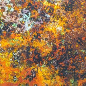Qt Fabrics Earthscapes Orange Rust