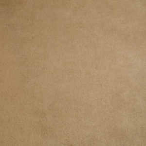 Shannon Fabrics Sand Solid Cuddle Solid 90"