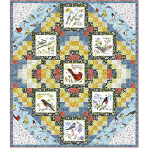 QT fabrics Neighborhood Chorus Quilt Kit