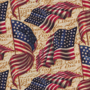 Springs Creative We Pledge Allegiance