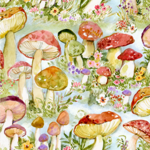 Springs Creative SW Mushrooms Packed