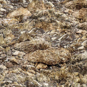 Qt Fabrics Earthly Delights Rocky Landscape