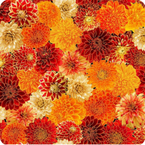 Timeless Treasures Give Thanks Mums