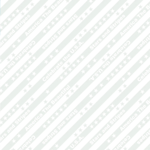 Benartex Star Spangled Whites USA Stripes White on White