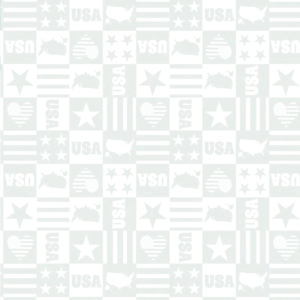 Benartex Star Spangled Whites USA Boxes White on White